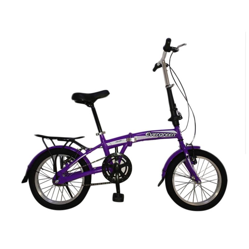 Evergreen folding bike online