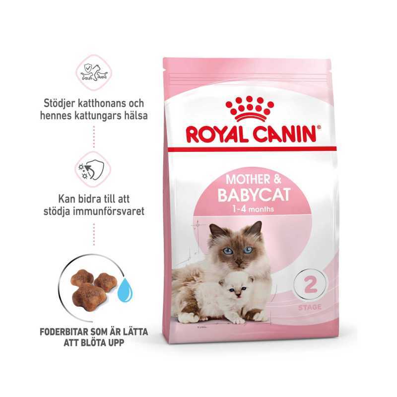 Royal canin mother and baby 2024 cat 2kg