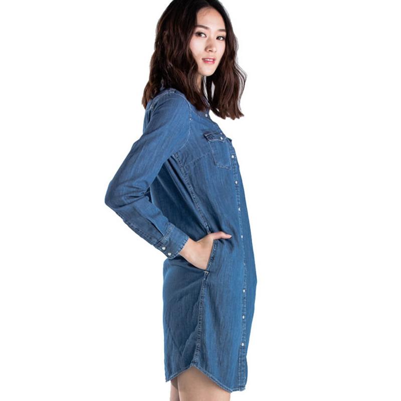 levi's ultimate western dress