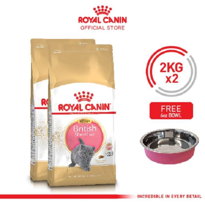 Makanan british shorthair sales