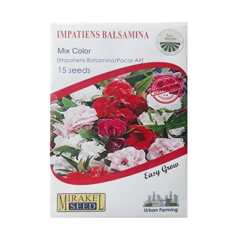 Jual Mirakel Seed Benih Biji Bunga Impatiens Balsamina Pacar Air Tumpuk Mix Color 15 Biji Online Oktober 2020 Blibli Com
