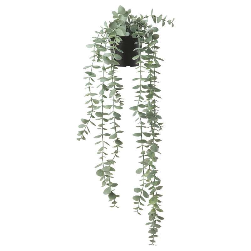 Jual Ikea Eucalyptus Fejka Tanaman Tiruan Dalam Pot Digantung Dalam Luar Ruang Murah September 2020 Blibli Com