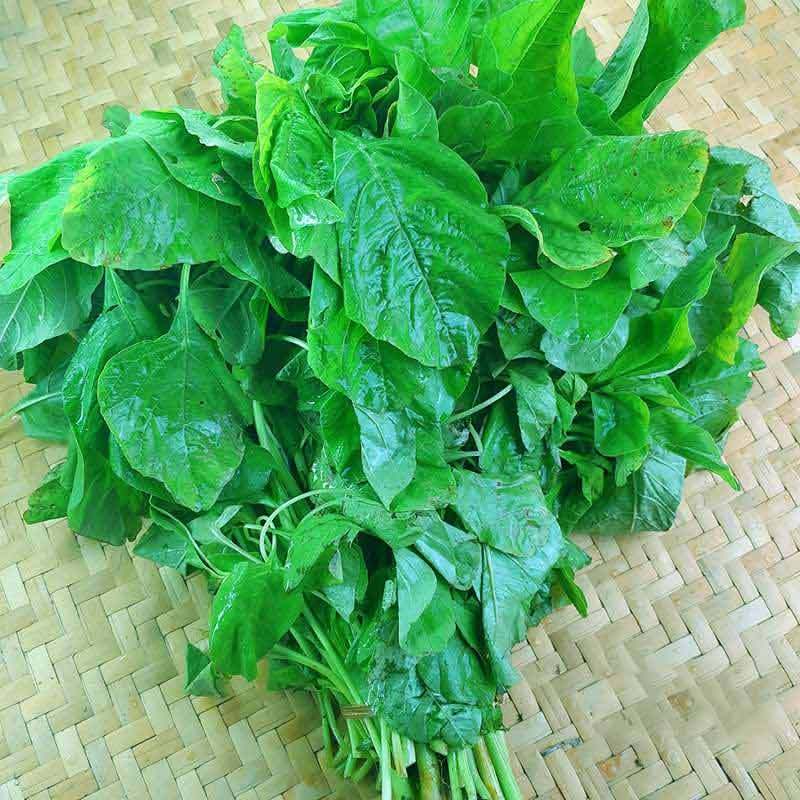 Jual Sayur Bayam Sayur Bayam Organik Sayur Bayam Fresh Premium Murah Terbaru Juni 2021 Blibli