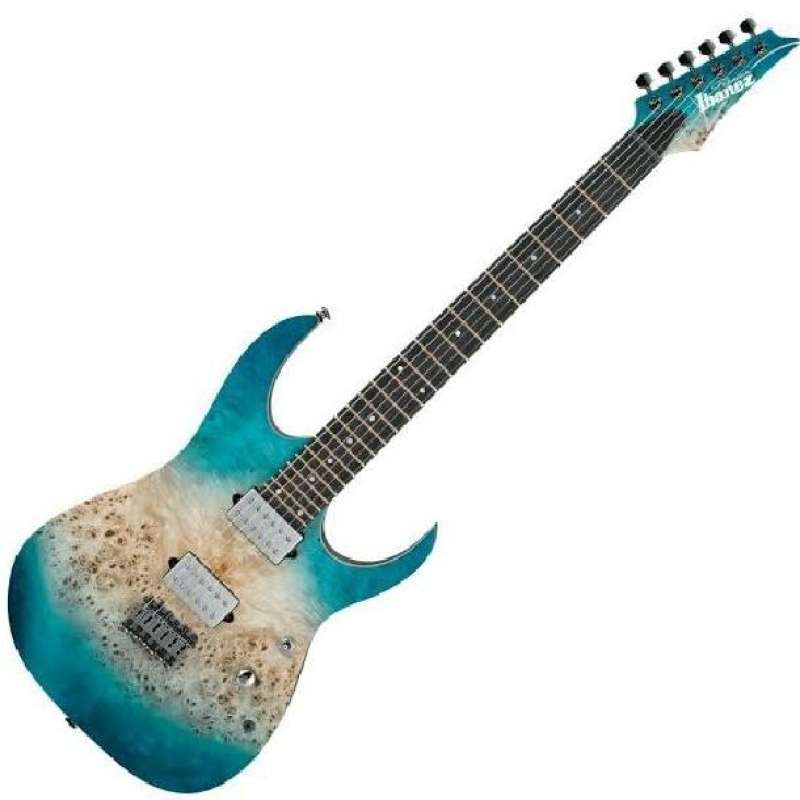 Gitar ibanez premium hotsell