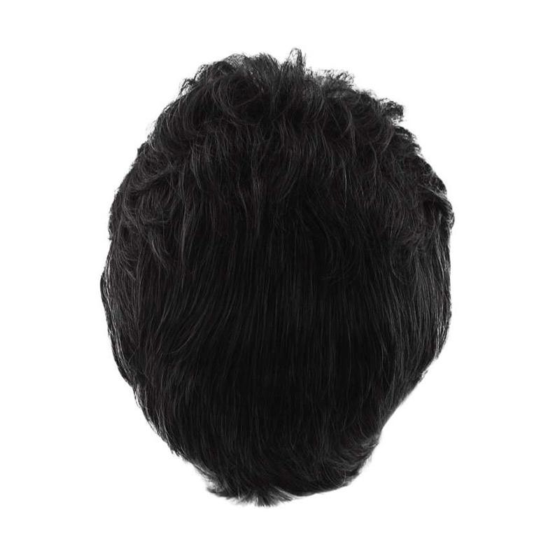 afro jimmy wig
