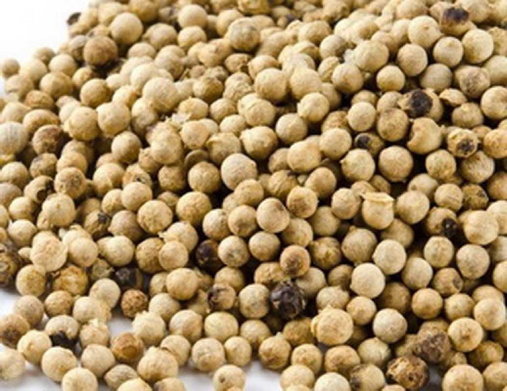 Lada Merica Putih biji lada pilihan 20 gram dan 50 gram Mrica