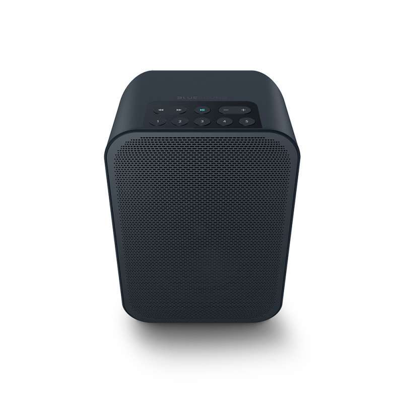 Jual Bluesound Pulse Flex 2i Portable Wireless Speaker Stereo Online Februari 2021 Blibli