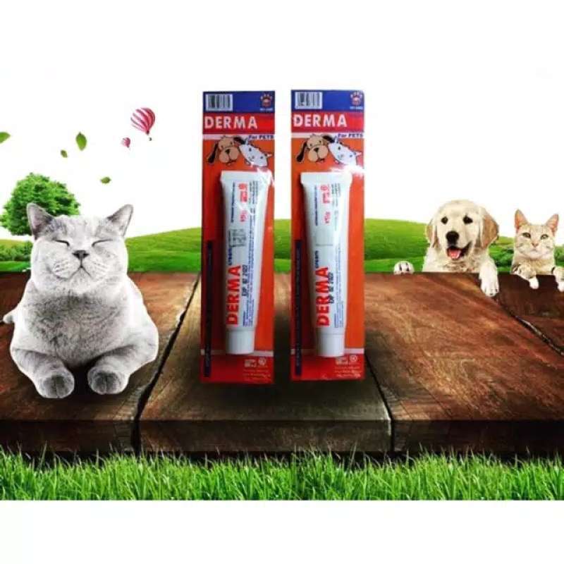 Jual Obat Derma Salep Infeksi Jamur Kucing Anjing Online Oktober 2020 Blibli Com