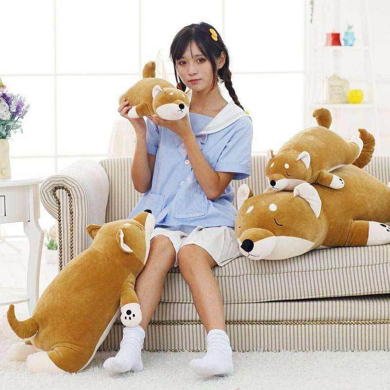 shiba inu jual