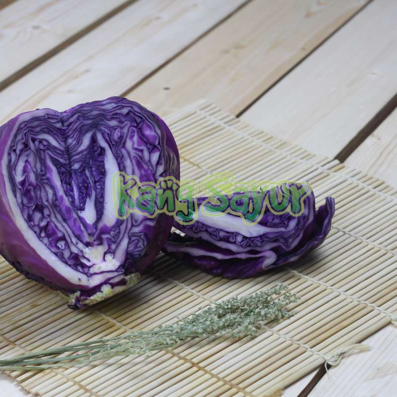 Jual No Brand Kol Ungu Sayuran 500 G Online Desember 2020 Blibli