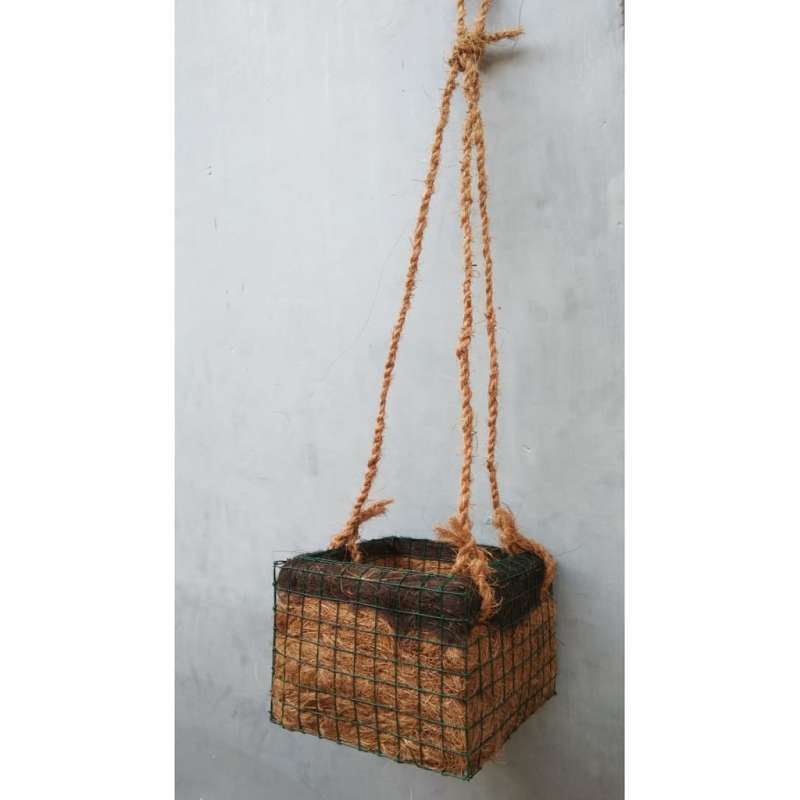 Jual Pot Vas Sabut Kelapa Kotak Bunga Anggrek Dinding Hiasan Tanaman Hias Rumah Taman Orchid Moss Hitam Media Tanam Anggrek Pot Bunga Anggrek Pot Tanaman H Online April 2021 Blibli