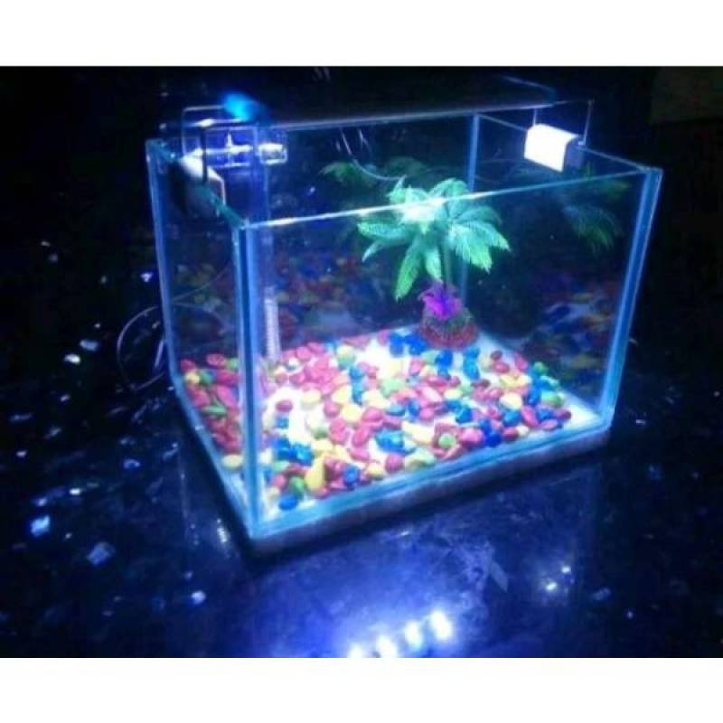 Jual Aquarium Mini Fullset Terbaru Juni 2021 Blibli