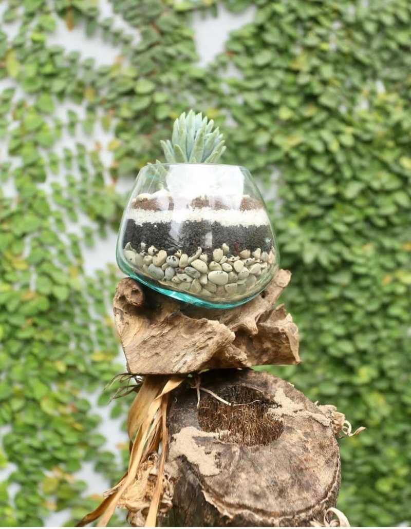 Aquarium Akar Kayu Diameter 12cm Asli Dari Bali Glasswood Terbaru Agustus 2021 Harga Murah Kualitas Terjamin Blibli Harga aquarium kayu akar Aquarium Akar Kayu Diameter 12cm Asli Dari Bali Glasswood Terbaru Agustus 2021 Harga Murah Kualitas Terjamin Blibli Harga aquarium kayu akar