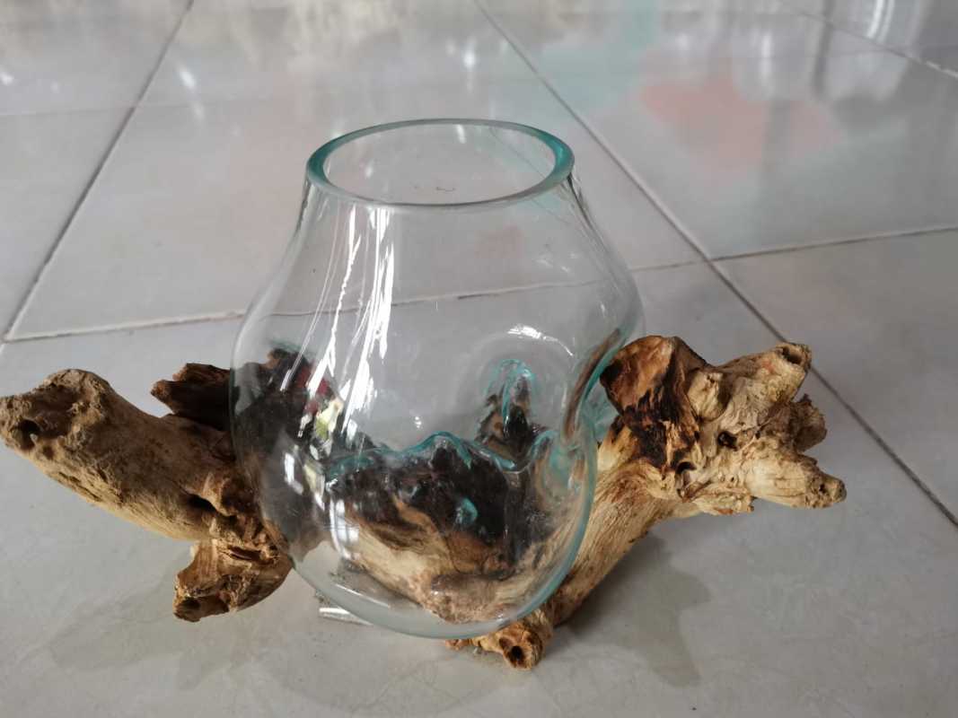 Aquarium Akar Kayu Diameter 12cm Asli Dari Bali Glasswood Terbaru Agustus 2021 Harga Murah Kualitas Terjamin Blibli Harga aquarium kayu akar Aquarium Akar Kayu Diameter 12cm Asli Dari Bali Glasswood Terbaru Agustus 2021 Harga Murah Kualitas Terjamin Blibli Harga aquarium kayu akar