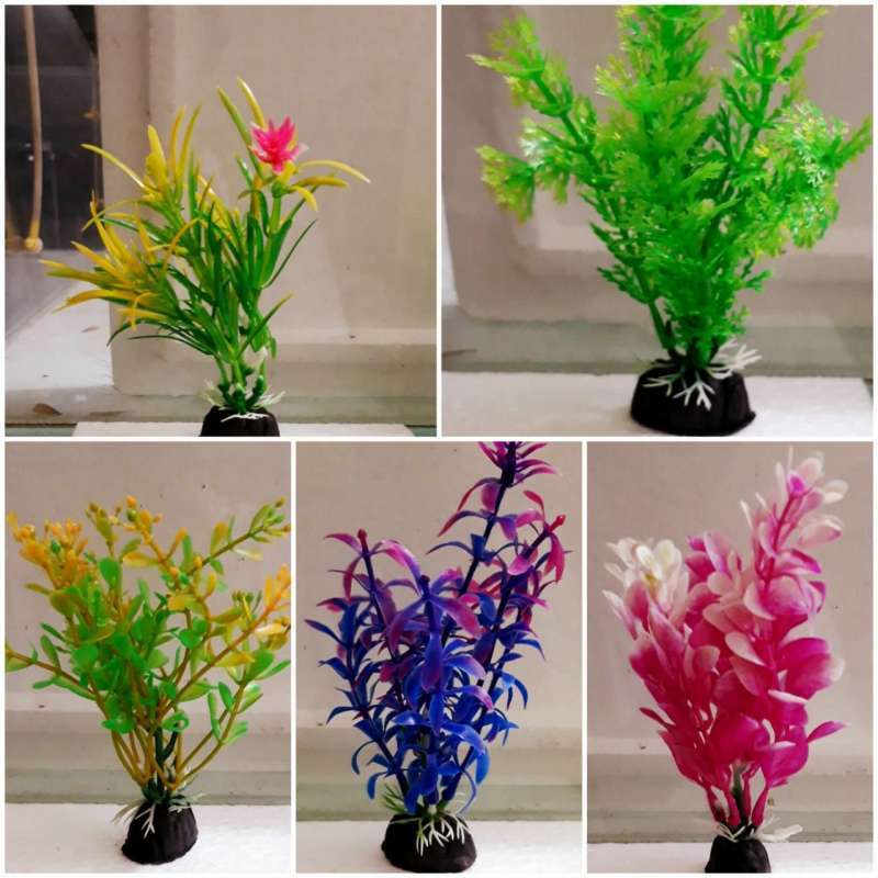 76 Dekorasi Aquarium Kecil HD Terbaik