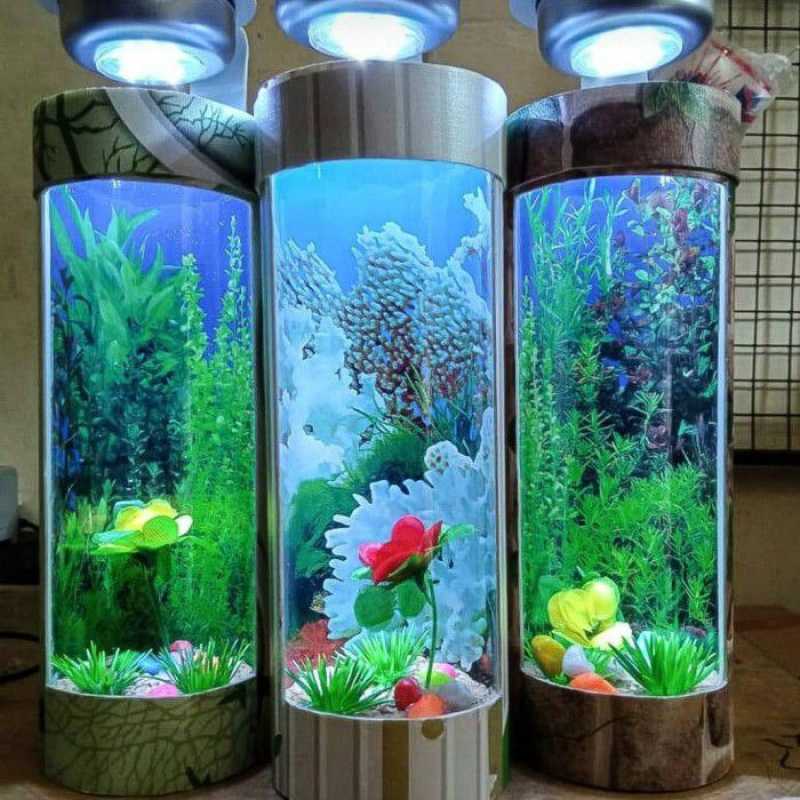 Aquarium Mini Ikan Cupang Unik Terbaru Agustus 2021 Harga Murah Kualitas Terjamin Blibli