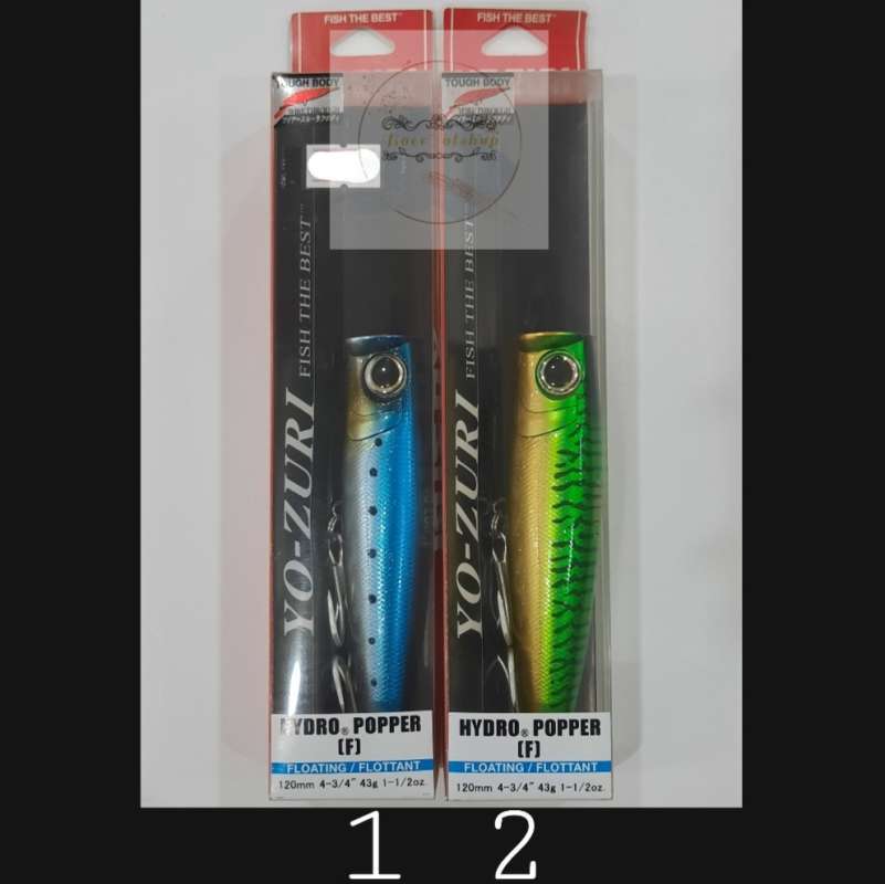 Hol qinning yaqindan korinishi