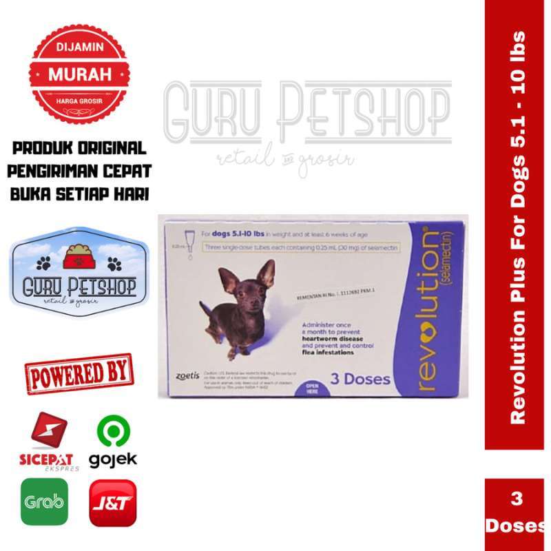 Revolution purple for sales dogs