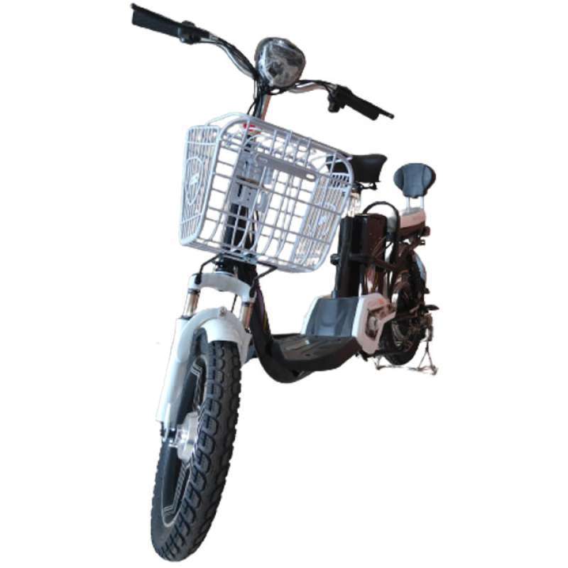 Richey e bike online