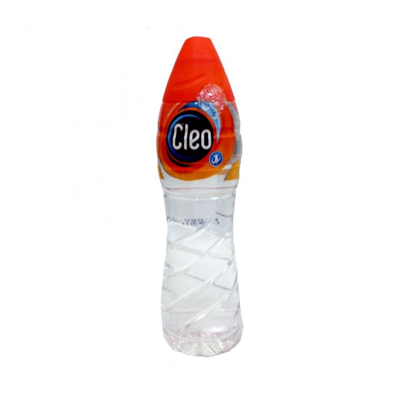 Jual Cleo Air Mineral 550 Ml Kemasan Botol Online September 2020 Blibli Com