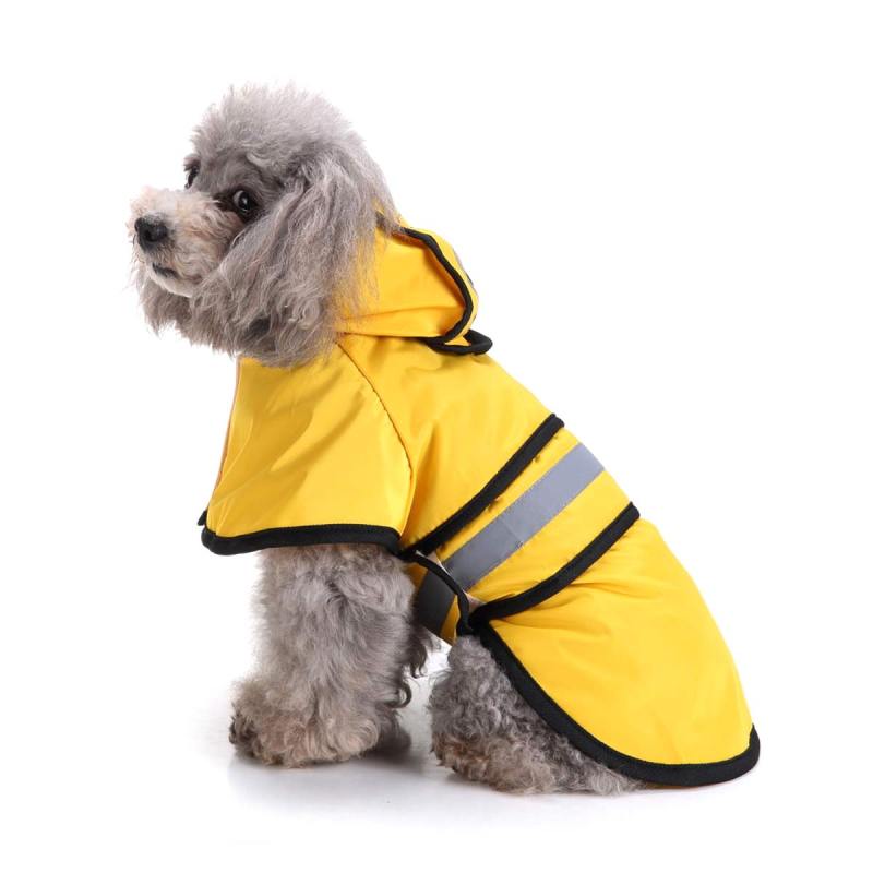 Small dog raincoat clearance