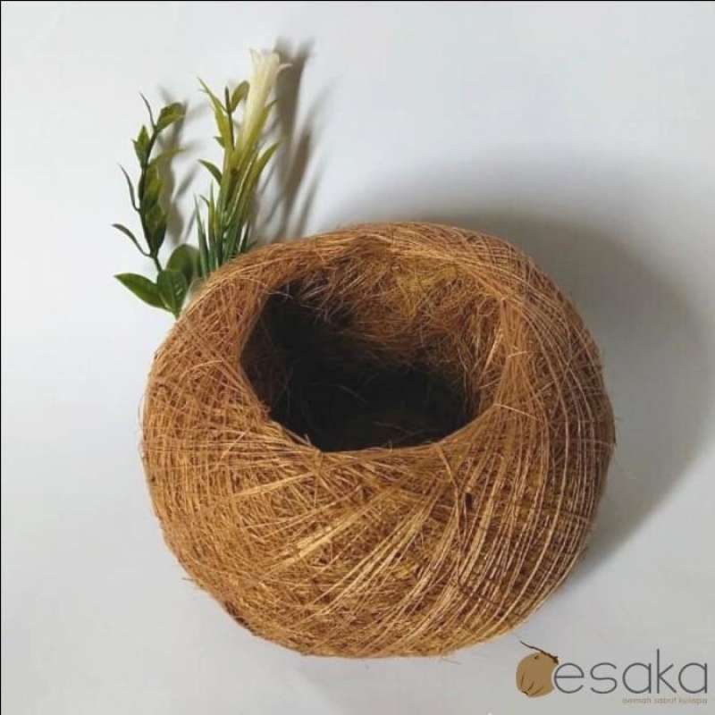 Biri eshakni sikadi, boshqalari tomosha qiladi