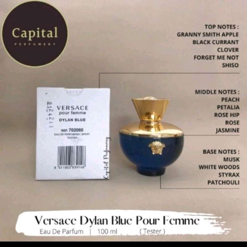 Versace dylan blue hotsell femme notes