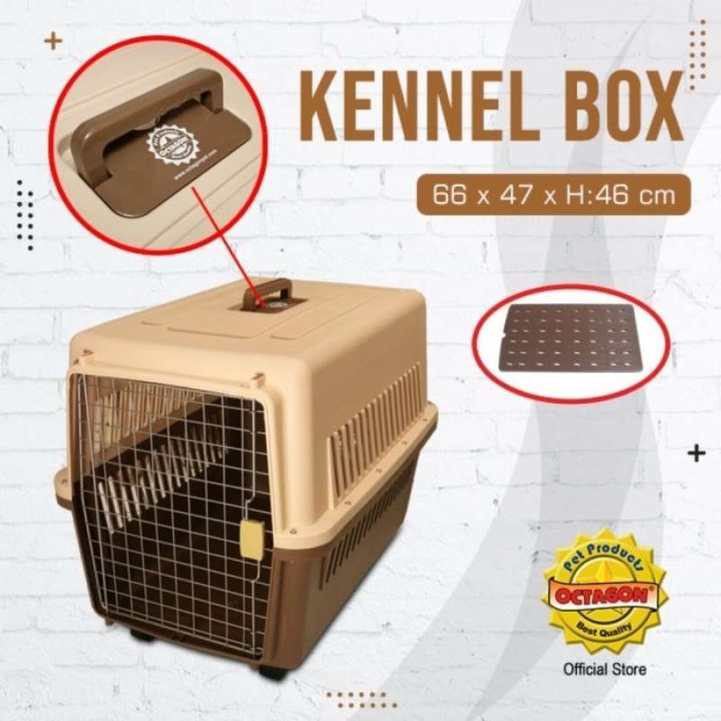 Gunner Kennels Kijiji Dog Pen Fish Tank 10 Gallon Complete Only