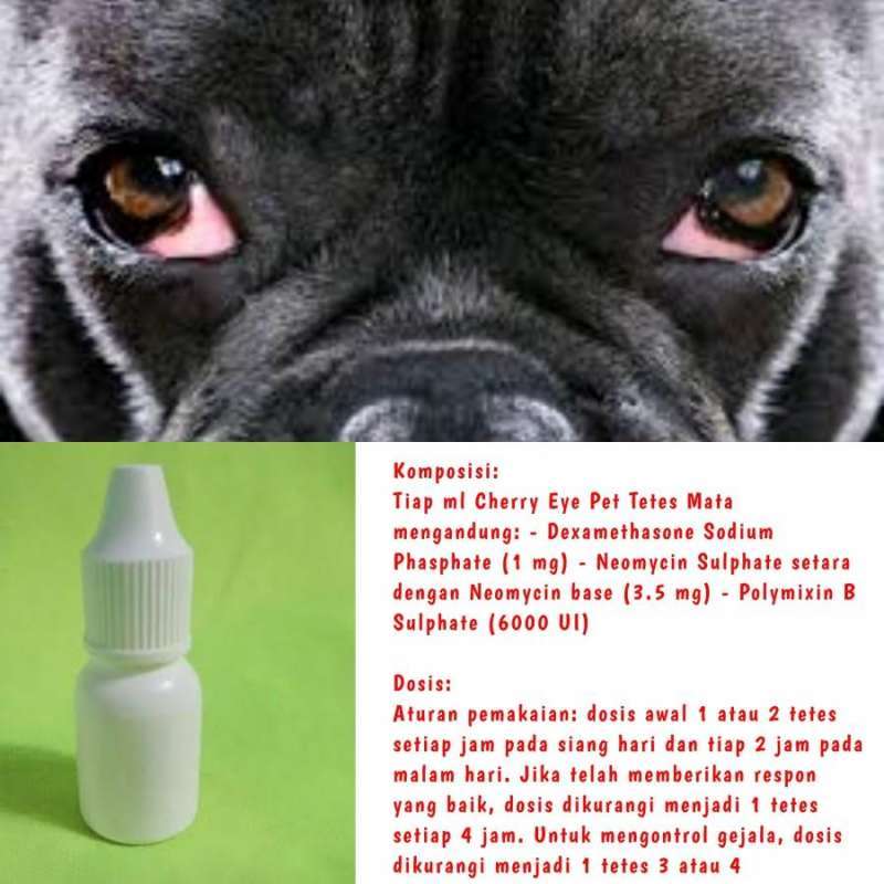 Jual Cherry Eye Pets Drop 0 5kg Tetes Mata Saja di Seller