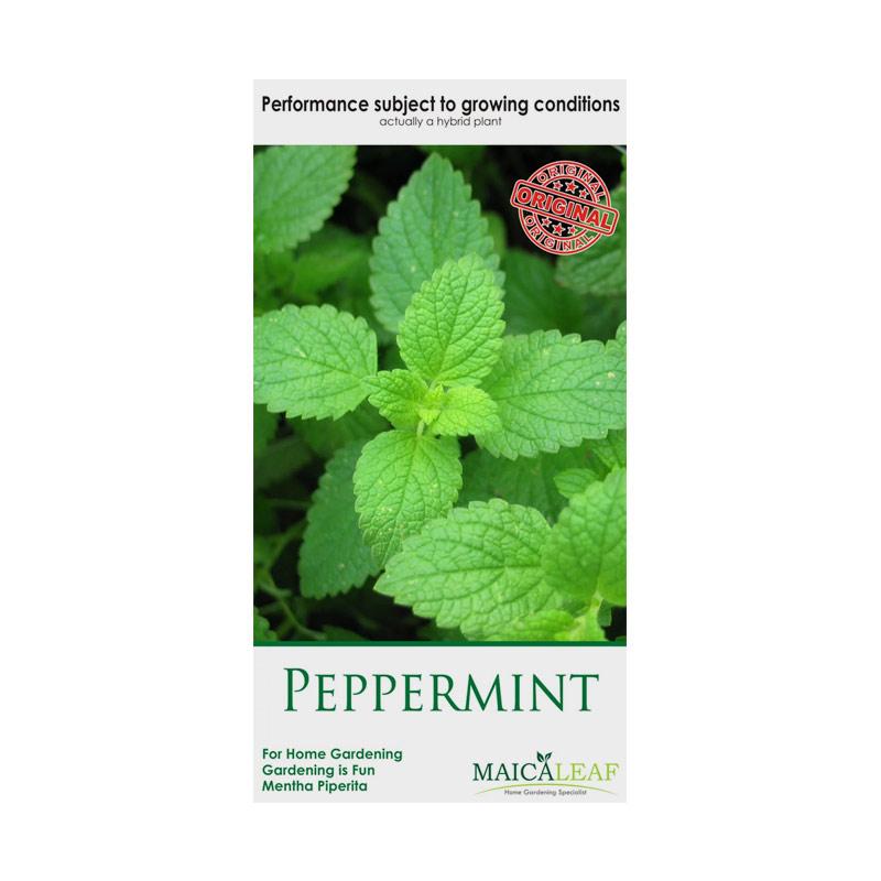 Jual Maica Leaf Tumbuhan Peppermint Benih Tanaman 150 Seeds Murah Maret 2020 Blibli Com