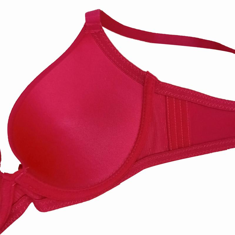 Jual Pierre Cardin Intimate 602 62112b Perfect Microfiber 3 4 Cup Bra Wanita Red Pink 2 Pcs Online November 2020 Blibli Com
