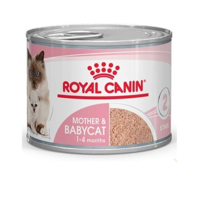 Royal canin mother and baby cat untuk apa hot sale