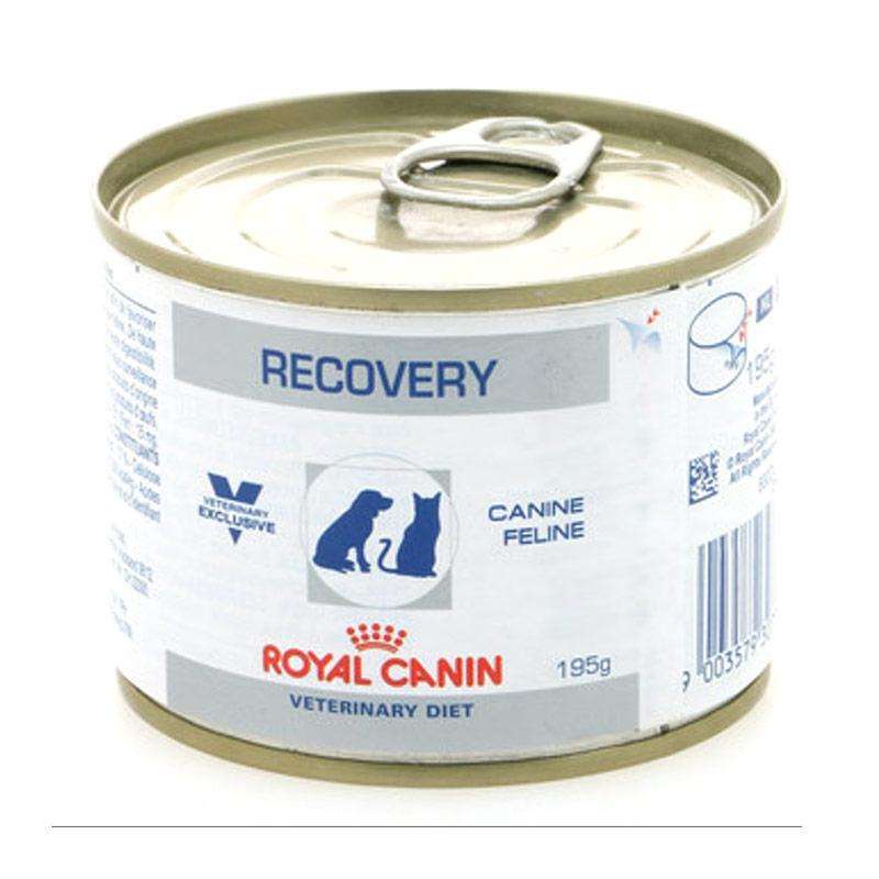 Royal canin shop recovery harga