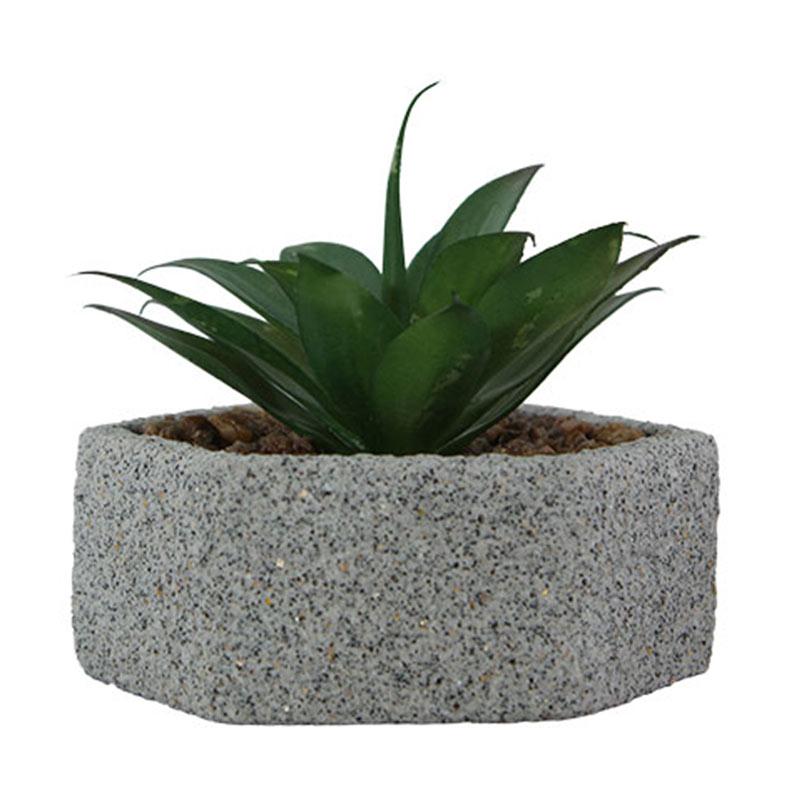 Jual Festiva Furniture 7766 6c Cactus In Hexagon Pot Artificial Plant Murah September 2020 Blibli Com