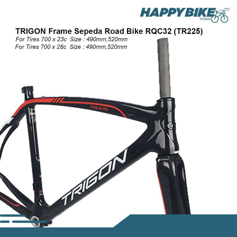 Frame carbon roadbike discount murah