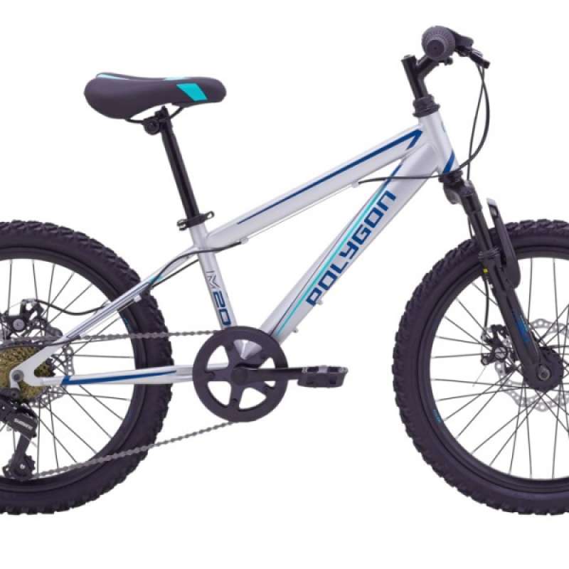 Polygon mtb 20 best sale