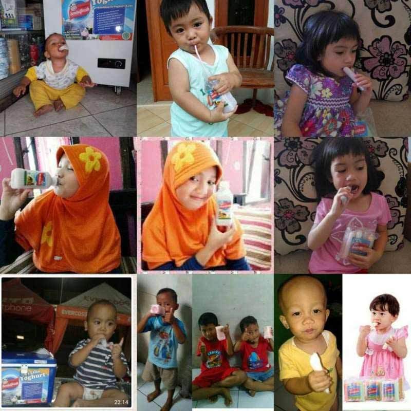 Jual Oem Sentul Fresh Es Lilin Dan Minuman Yoghurt Online Oktober 2020 Blibli Com