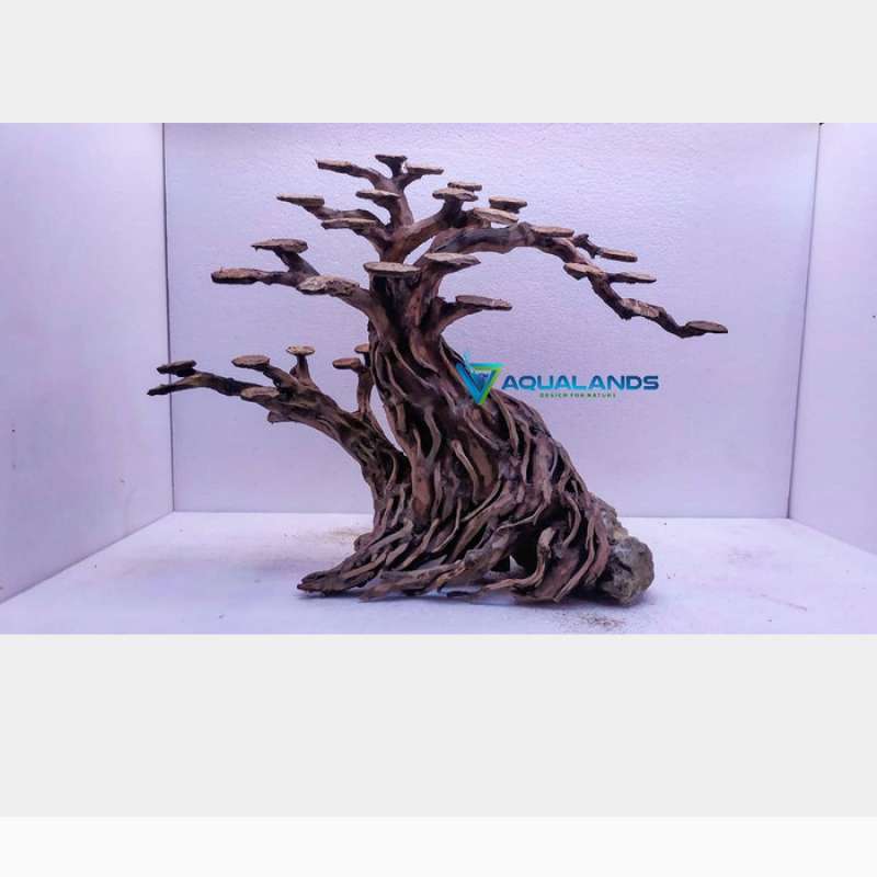 hardscape bonsai aquascape