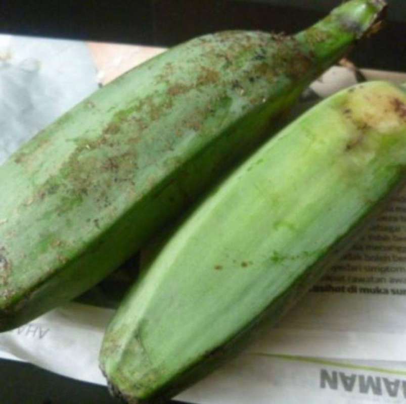 Jual Pisang Batu Pisang Klutuk Muda 1 Kg Terbaru Juli 2021 