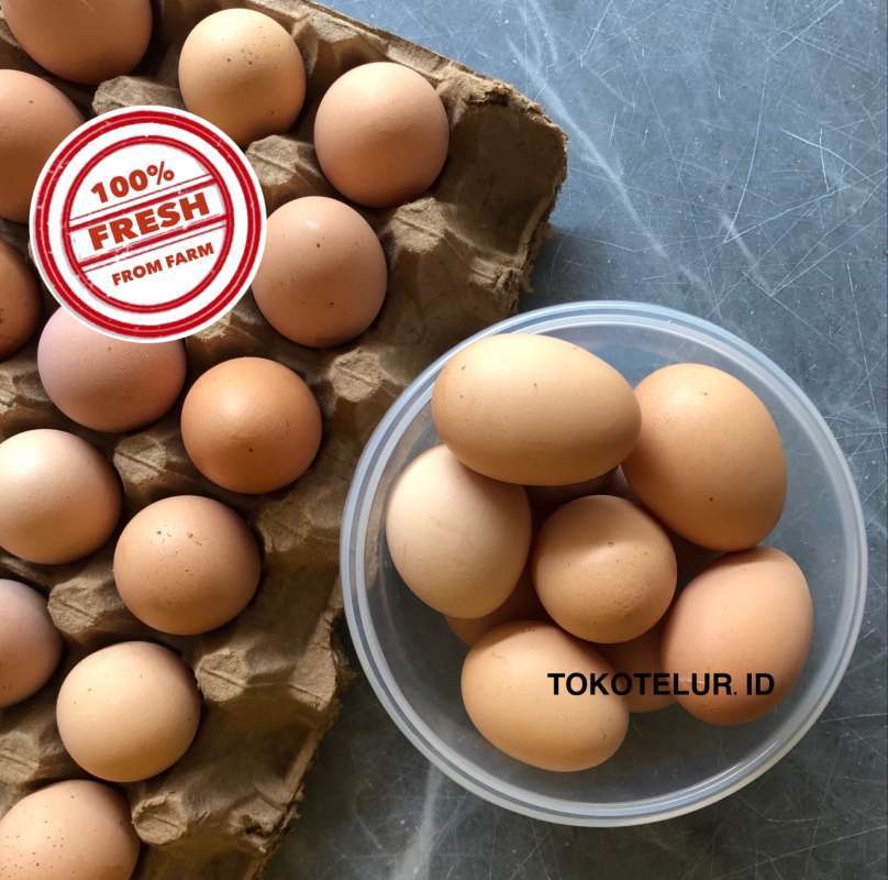Jual Tokotelur Id Telur Ayam Negeri 1 Kg Terbaru Juni 2021 Blibli