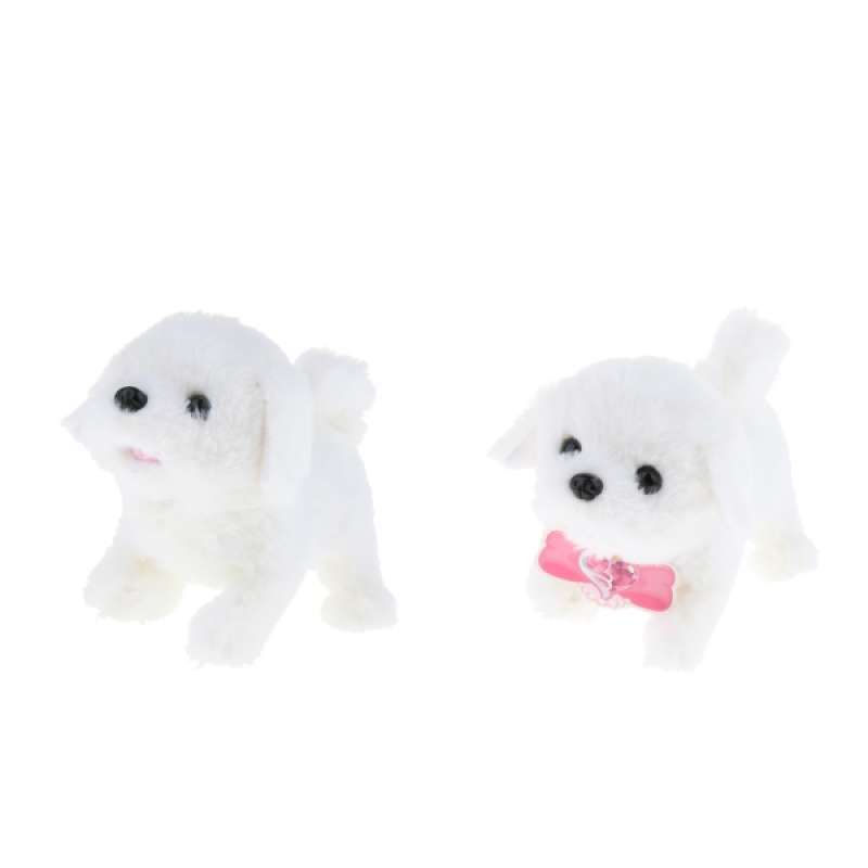 wag dog walking gift card
