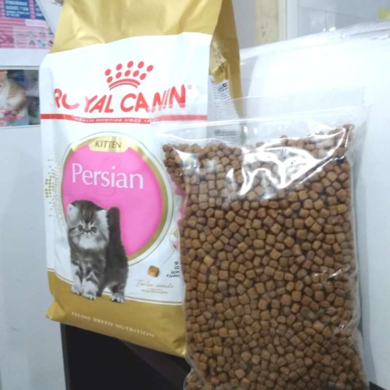Jual Royal Canin Kitten Persian 32 Kemasan 500gr Rc Kitten 32 Di Seller Powerfull Serua Kota Depok Blibli