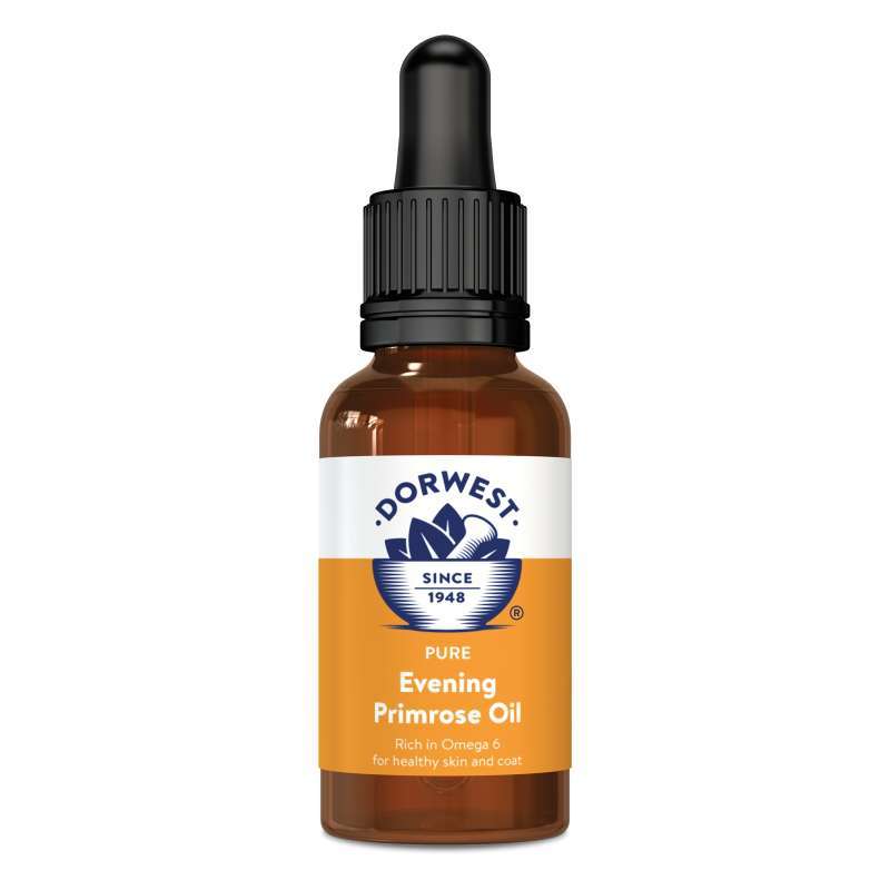 Jual Dorwest Evening Primrose Oil Liquid For Dogs And Cats 100ml 100 Ml Di Seller Fonsvitae Petshop Official Store Tangerang Banten Blibli