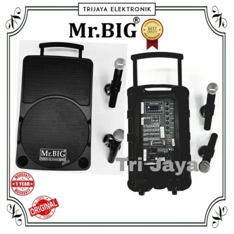 Speaker mr cheap big