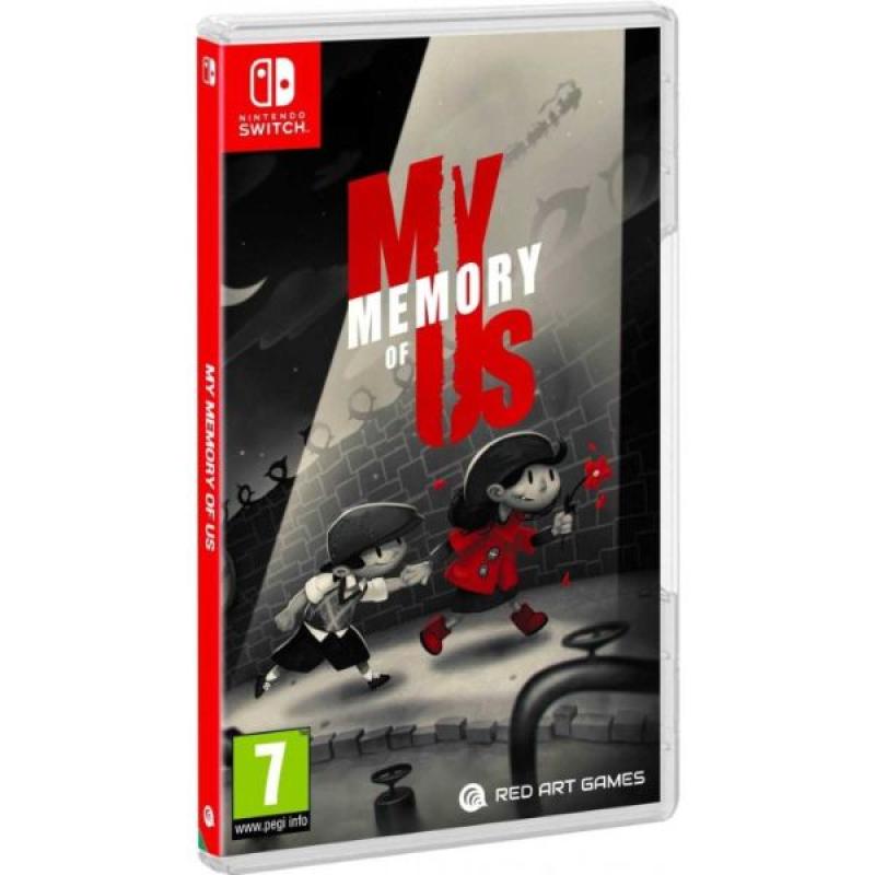 memory of nintendo switch