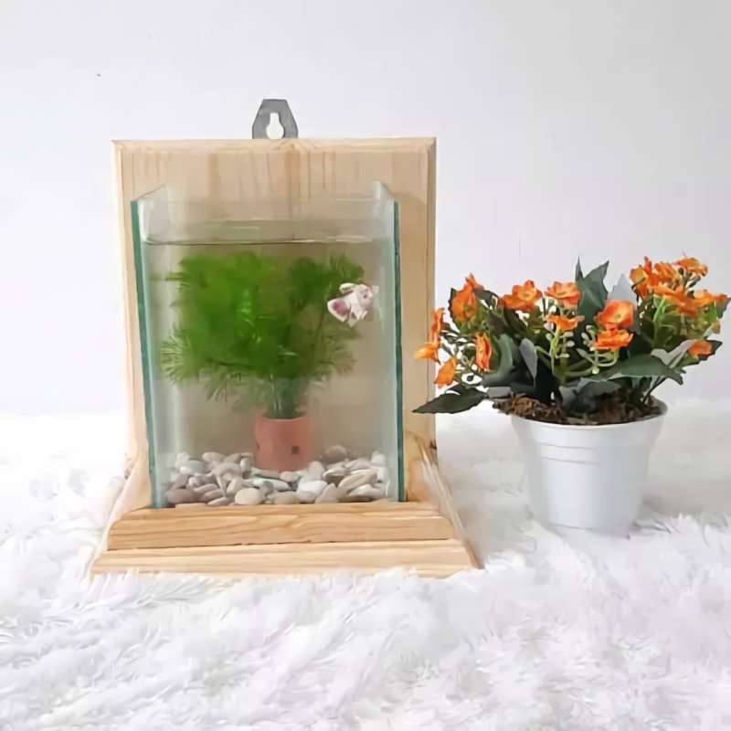 Jual Aquarium Minimalis Aquarium Ikan Cupang Soliter Cupang Bettafish Aquarium Gantung Online Februari 2021 Blibli