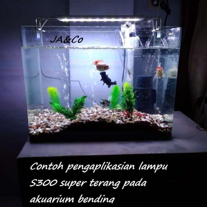 970+ Contoh Aquarium Kaca HD Terbaik