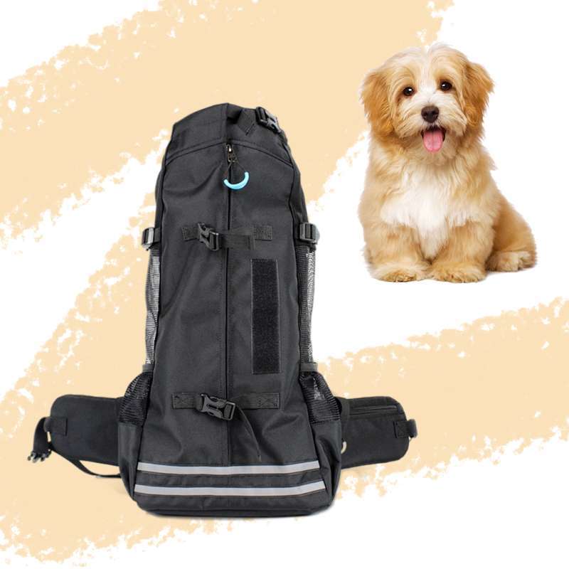 dog backpacks