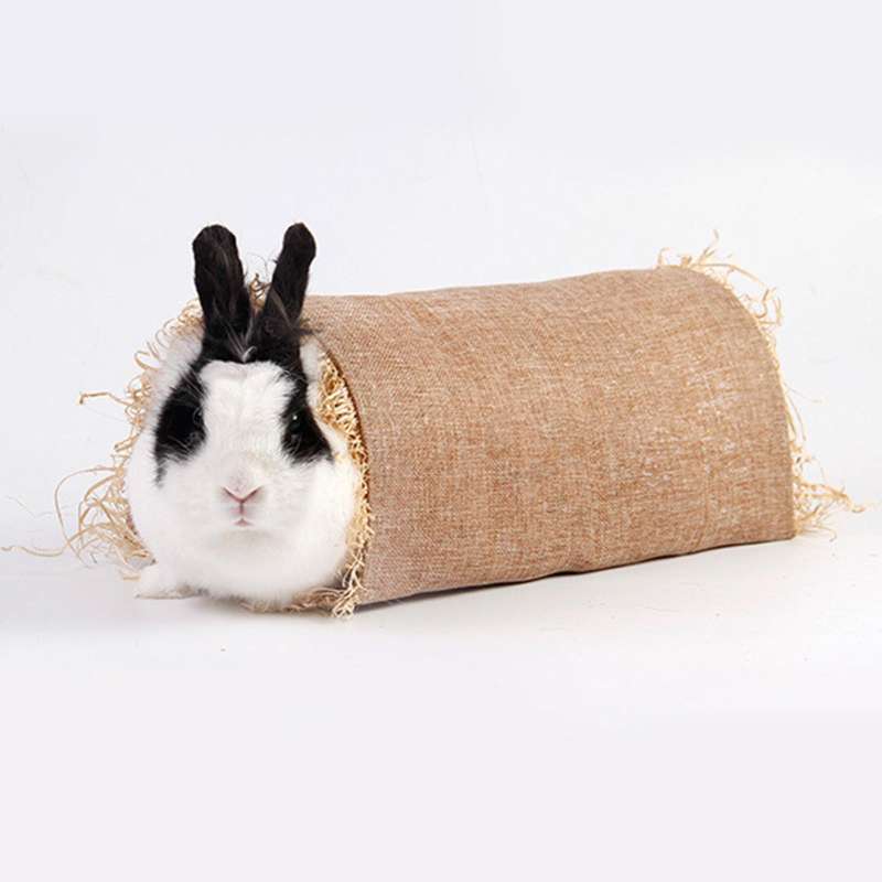 Promo Small Pet Animal Tunnel Tube DIY & Build Guinea Pig Nest Hut for Rat  Mice S - S Diskon 29% di Seller Homyl - China | Blibli