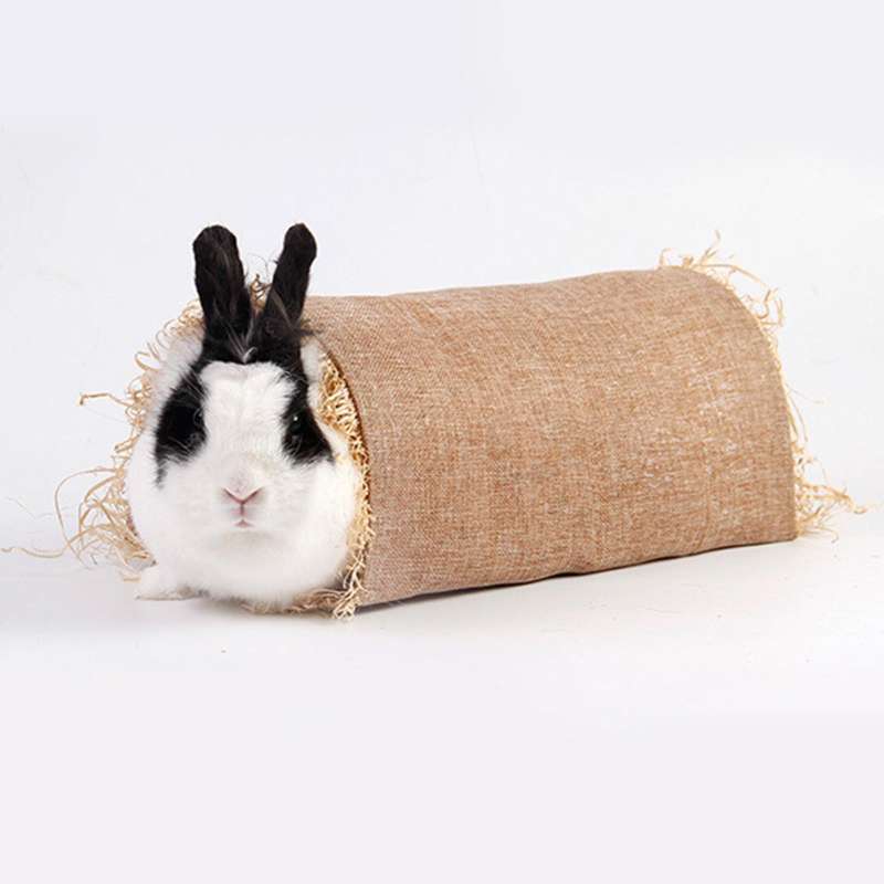 Promo Small Pet Animal Tunnel Tube DIY & Build Guinea Pig Nest Hut for Rat Mice S - S Diskon 29% di Seller Homyl - China | Blibli Promo Small Pet Animal Tunnel Tube DIY & Build Guinea Pig Nest Hut for Rat Mice S - S Diskon 29% di Seller Homyl - China | Blibli